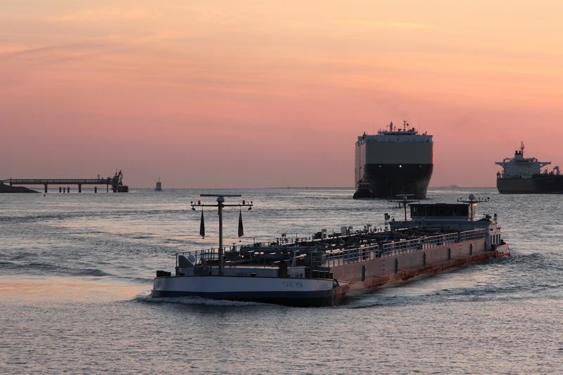 De Blaauwe Leeuw Terneuzen