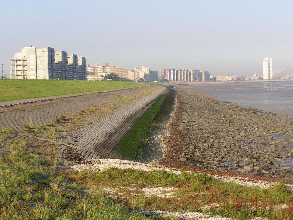 De Blaauwe Leeuw 4* Terneuzen
