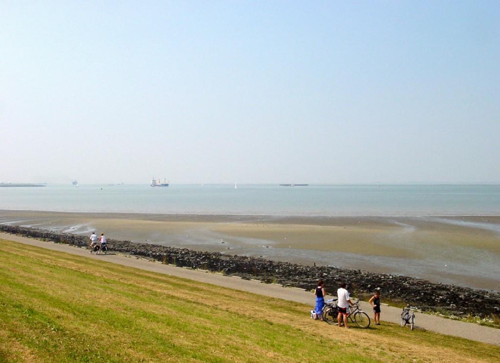 De Blaauwe Leeuw Hotel 4*